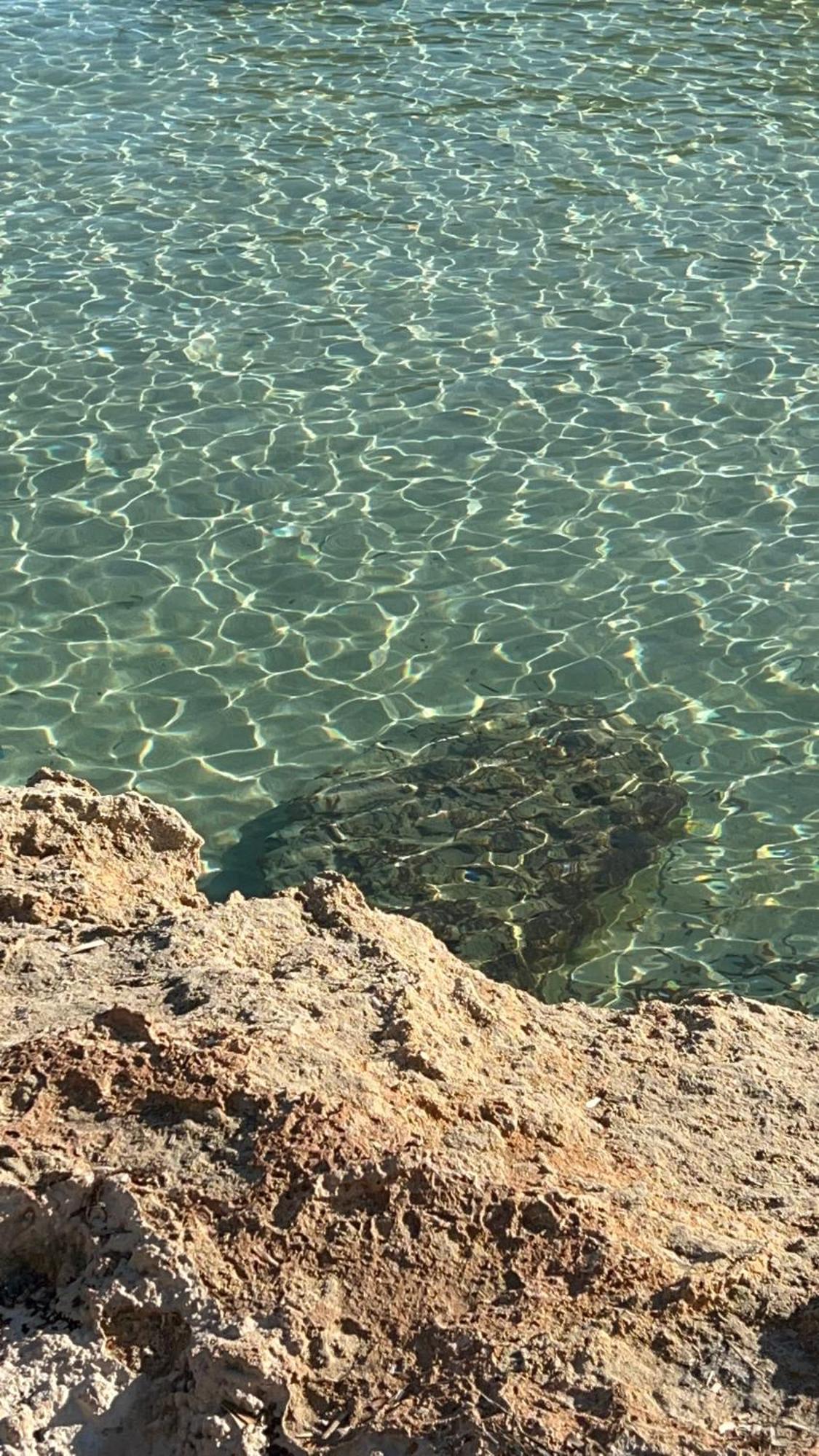 Capitolo Villa Monopoli Dış mekan fotoğraf